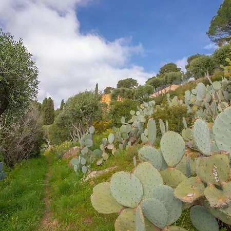 Διαμέρισμα Berliat N°9 Bormes-les-Mimosas