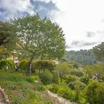 Berliat N°9 Bormes-les-Mimosas